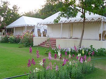 Jungle View Resort Sawai Madhopur Exteriör bild