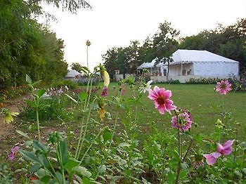 Jungle View Resort Sawai Madhopur Exteriör bild