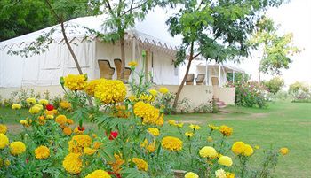 Jungle View Resort Sawai Madhopur Exteriör bild