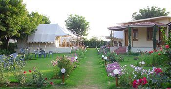 Jungle View Resort Sawai Madhopur Exteriör bild